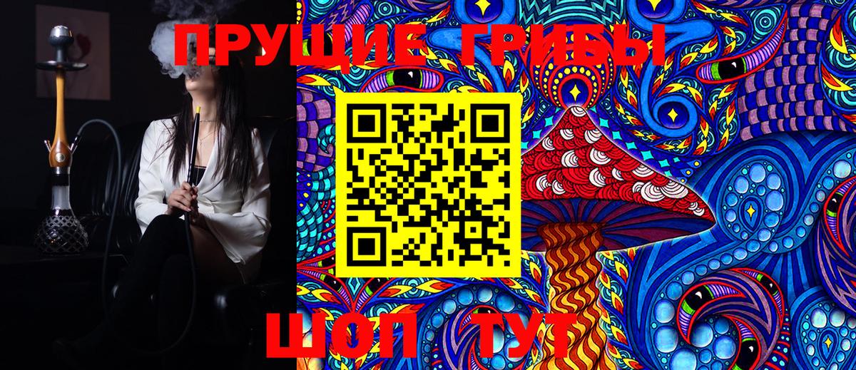 Сухой Лог  Псилоцибиновые грибы Psilocybine cubensis  Вход с VPN 